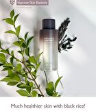 haruharu wonder Black Rice Hyaluronic Toner Fragrance Free Mini - 30ml