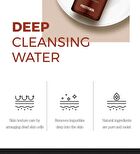 Galactomyces First Deep Cleansing Water - 500ml