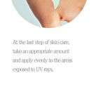 Sun Cream - 4 Types - No-Sebum Tone Up