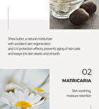 Sun Cream - 4 Types - No-Sebum Tone Up