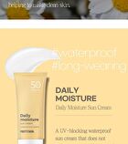 Sun Cream - 4 Types - No-Sebum Tone Up