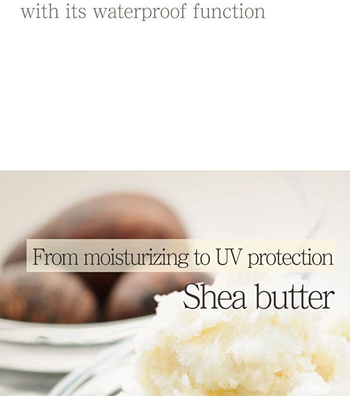 Sun Cream - 4 Types - No-Sebum Tone Up