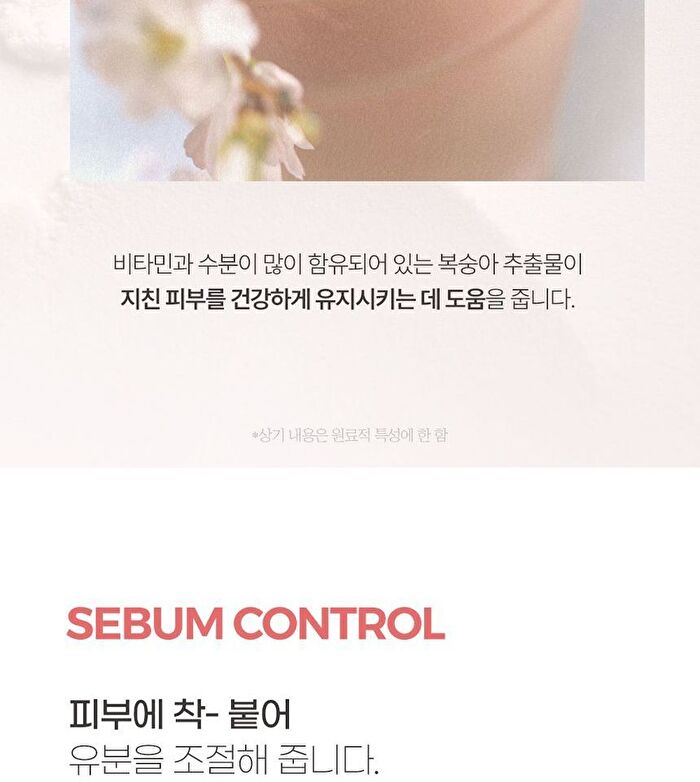 Good Bye Sebum Finish Powder Plus - 2 Types - Cica