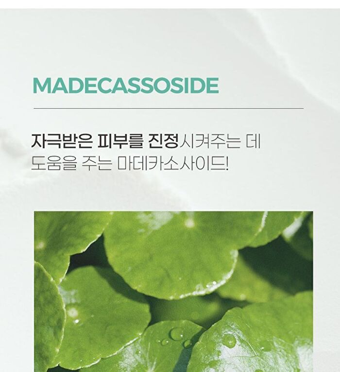 Good Bye Sebum Finish Powder Plus - 2 Types - Cica