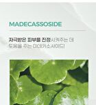 Good Bye Sebum Finish Powder Plus - 2 Types - Cica