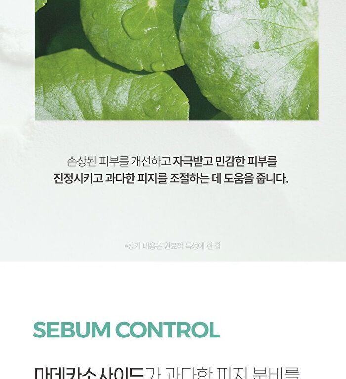 Good Bye Sebum Finish Powder Plus - 2 Types - Cica