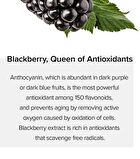 Idebenone + Blackberry Complex Serum Mini - 10ml