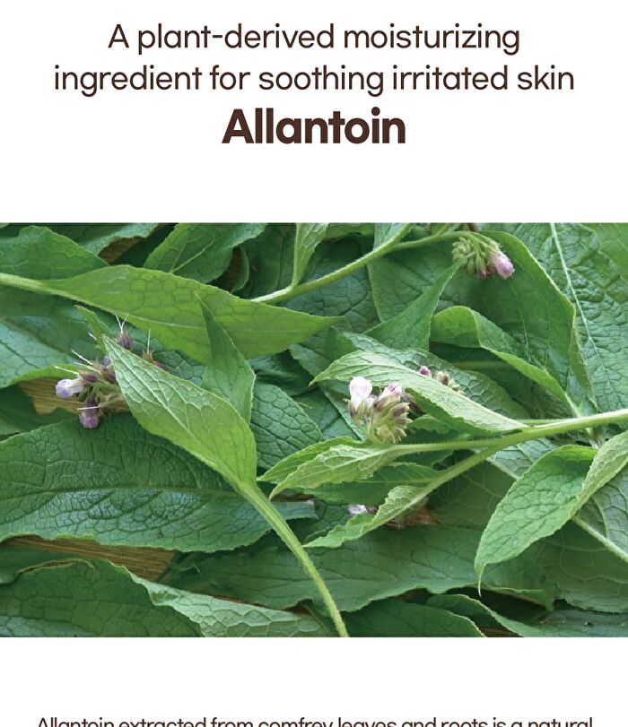 mixsoon Bean Toner - 300ml