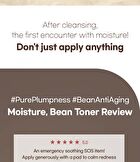mixsoon Bean Toner - 300ml