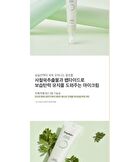 Artemisia Eye Butter - 2023 Renewed Version - 25ml