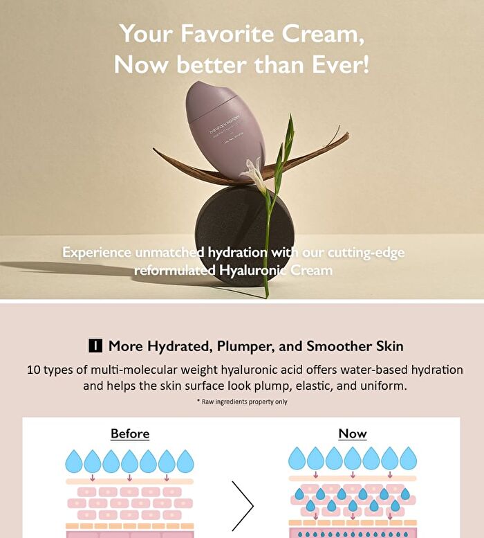 haruharu wonder Black Rice 10 Hyaluronic Cream - Renewed - 50ml