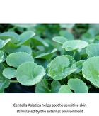Centella Dressing Powder Bulk Up - 12ml