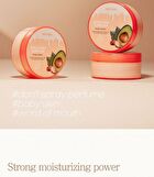 Avocado & Argan Body Cream Jar - 300ml