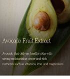 Avocado & Argan Body Cream Jar - 300ml