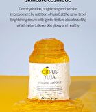 Citrus Yuja Vitalizing Ampoule - 250ml