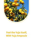 Citrus Yuja Vitalizing Ampoule - 250ml
