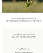Forest Scented Body Scrub - 2 Types - #02 Unknown Cloud