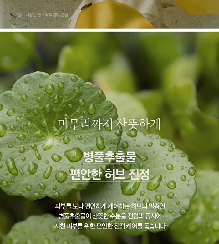 Nard Green Tea Skin & Lotion Set For Man - 4 pcs