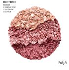 Beauty Bento - 11 Colors - #19 Forest Night