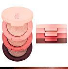 Beauty Bento - 11 Colors - #19 Forest Night