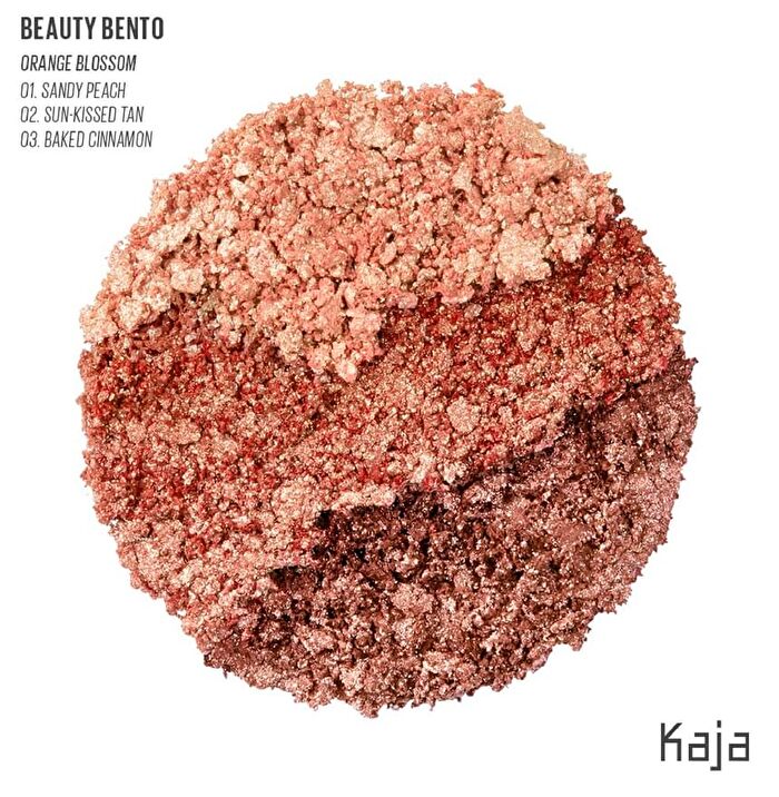 Beauty Bento - 11 Colors - #19 Forest Night