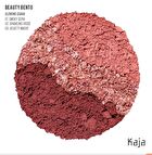 Beauty Bento - 11 Colors - #19 Forest Night