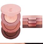 Beauty Bento - 11 Colors - #19 Forest Night