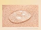 Conscious Fit Cushion Foundation Refill Only - 5 Colors - #15N Cosmic Cream