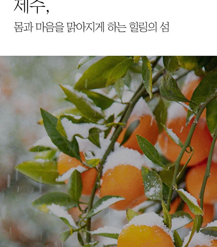 The Pure Jeju Tangerine Vita C Cream - 52ml