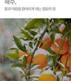 The Pure Jeju Tangerine Vita C Cream - 52ml