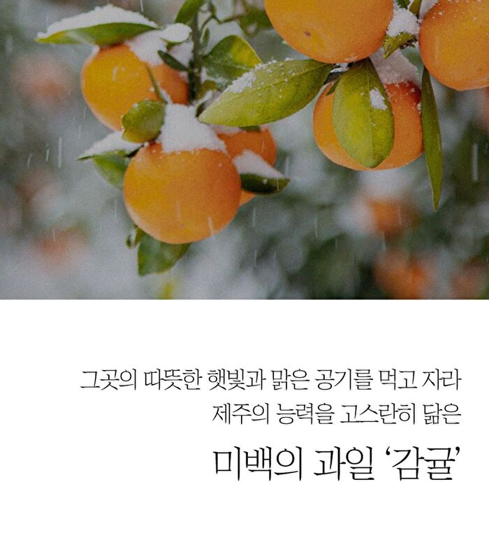 The Pure Jeju Tangerine Vita C Cream - 52ml