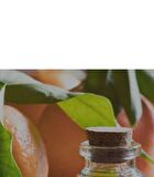 The Pure Jeju Tangerine Vita C Cream - 52ml