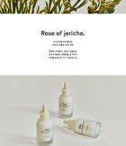 Jericho Rose Bifida Serum Firming Drop - 50ml