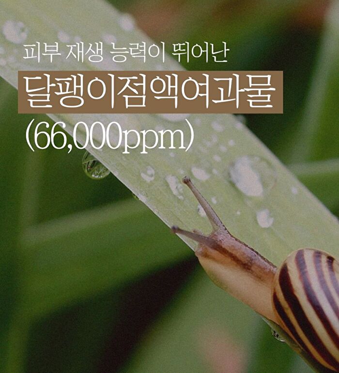 Super Gold Snail BB Cream - 50ml