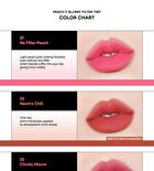 Blurry Filter Tint - 5 Colors - #02 Newtro Chili