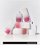 Blurry Filter Tint - 5 Colors - #02 Newtro Chili