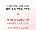 All In One Over-Lip Maker - 5 Colors - #05 Cool Rose