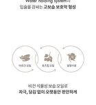 romand Glasting Melting Balm Dusty On The Nude Edition - 6 Colors - #12 Veiled Rose