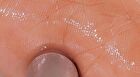romand Glasting Melting Balm Dusty On The Nude Edition - 6 Colors - #15 Pecan Brew