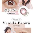 Secret Candy Magic 1 Day Color Lens Clear Gray 20 pcs - P-0.00 (20 pcs)