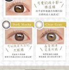 Secret Candy Magic 1 Day Color Lens Clear Gray 20 pcs - P-0.00 (20 pcs)