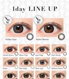 Secret Candy Magic 1 Day Color Lens Grege 20 pcs - P-0.00 (20 pcs)
