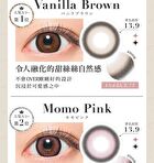 Secret Candy Magic 1 Day Color Lens Grege 20 pcs - P-0.00 (20 pcs)