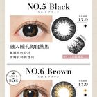 Secret Candy Magic 1 Day Color Lens Grege 20 pcs - P-0.00 (20 pcs)