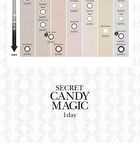 Secret Candy Magic 1 Day Color Lens Grege 20 pcs - P-0.00 (20 pcs)