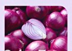 Onion Newpair Essence Toner - 2023 Version - 200ml