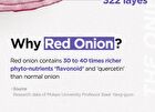 Onion Newpair Essence Toner - 2023 Version - 200ml
