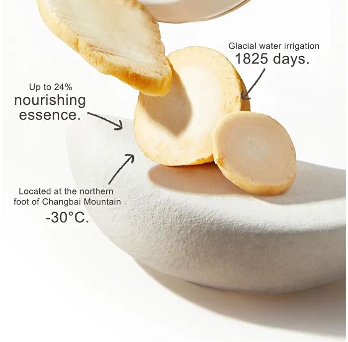 Moisturizing Cushion Foundation - 4 Colors - #N10 Cool Fair Skin - 14g