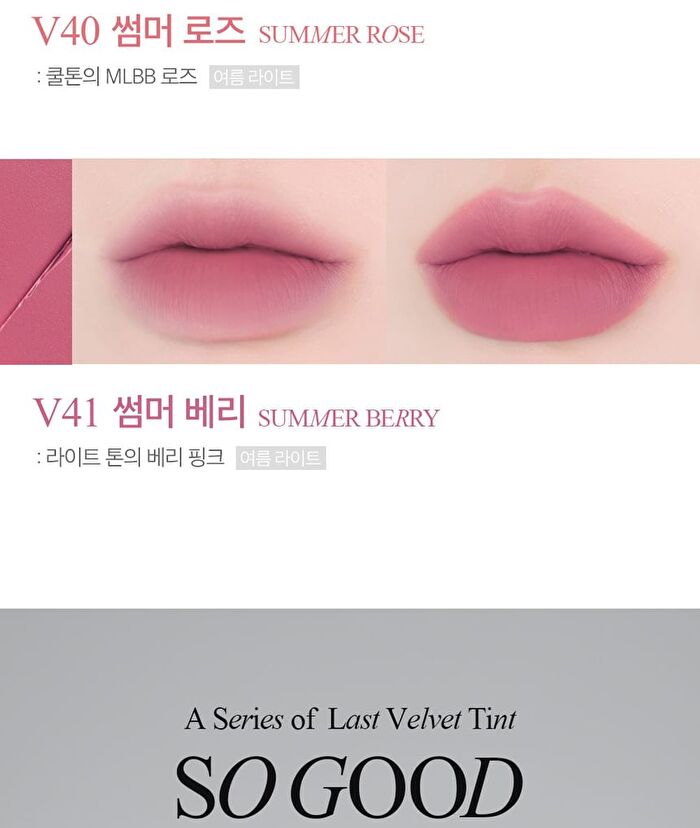 Last Velvet Lip Tint - 27 Colors - #V13 Serious Boss