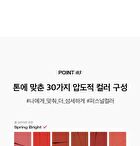 Last Velvet Lip Tint - 27 Colors - #V41 Summer Berry